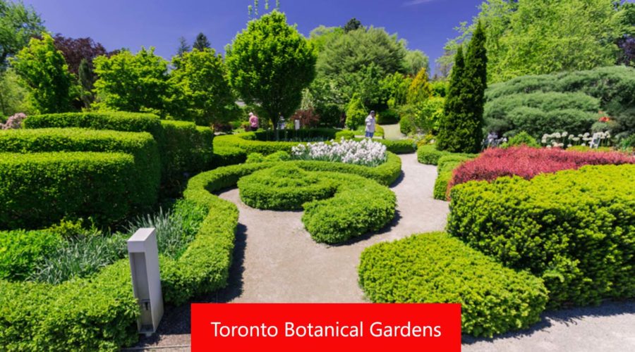 Toronto Botanical Garden